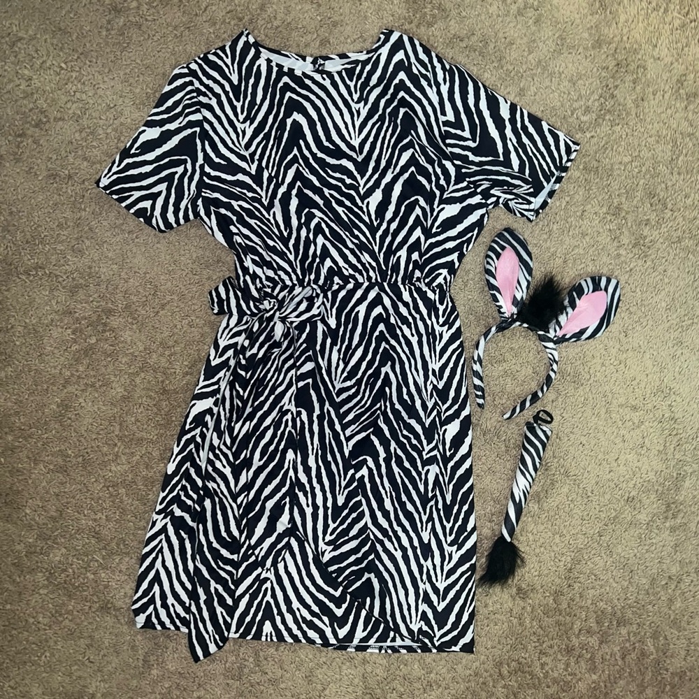 Ladies Zebra Costume size: M/L